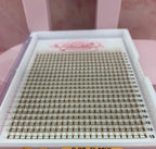 Brown pre-made fans XL 10D 0.05 C-Mix Mega Trays
