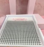 Wispy 5D Pre-made Fans Mega Trays