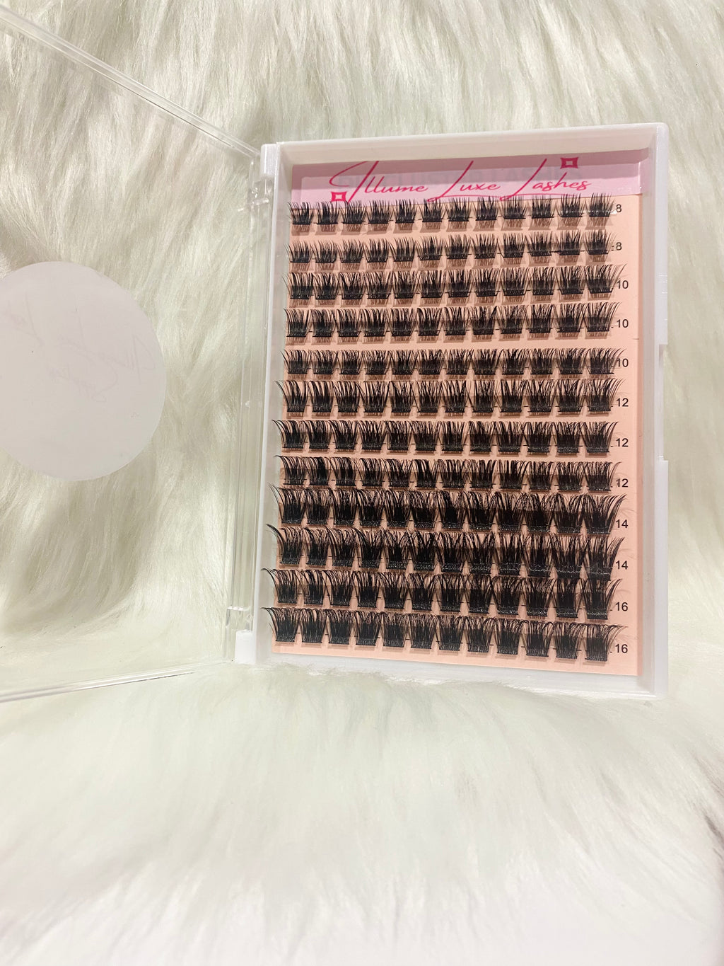 BombShell Babe- Refill Trays