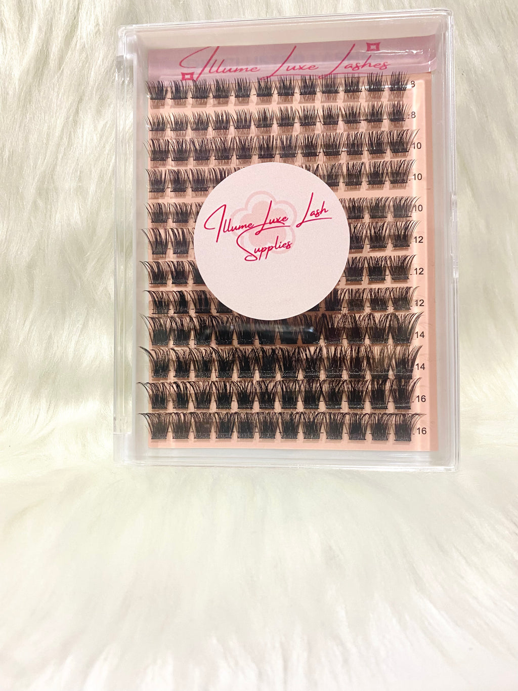 BombShell Babe- Refill Trays