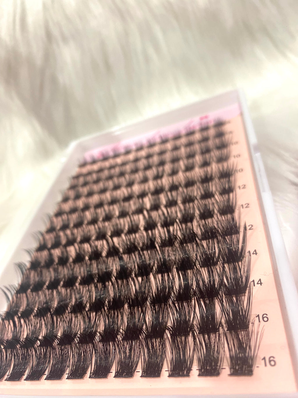 BombShell Babe- Refill Trays